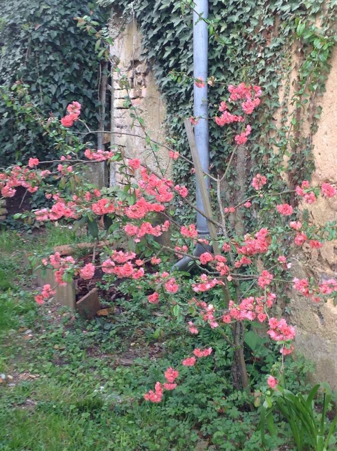 فندق La Bicoque En Puisaye Saint-Amand-en-Puisaye المظهر الخارجي الصورة